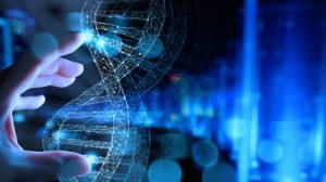 L'Innovation comme ADN
